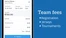 TeamSnap team fees