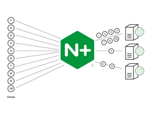 nginx plus load balancer client