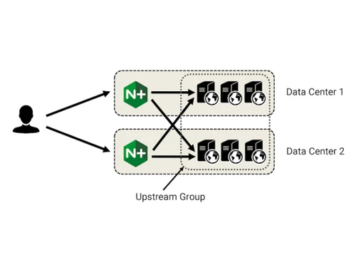 nginx plus load balancer group
