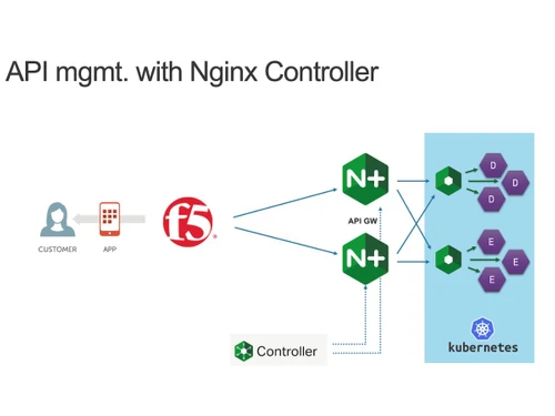 NGINX Controller API Management Module