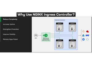 NGINX Plus Ingress Controller components