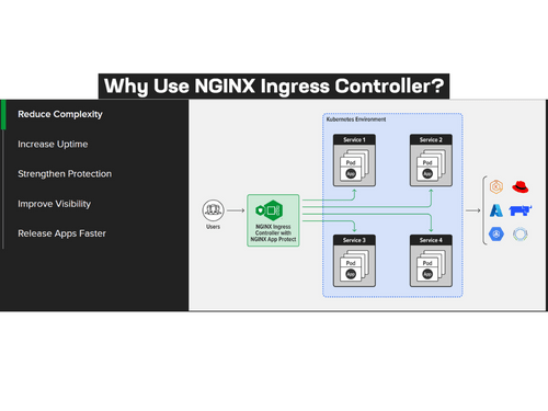 NGINX Plus Ingress Controller components