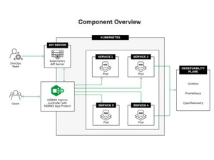 nginx plus ingress controller component