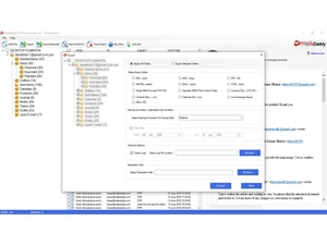 MailsDaddy PST File Converter export
