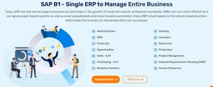 erp for entire business