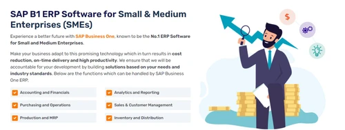 small business erp