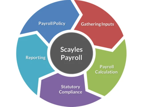 scayles payroll and compliance software payroll