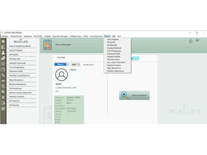 scayles payroll and compliance software settings