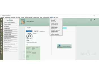 scayles payroll and compliance software settings