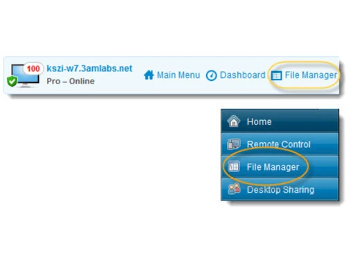 logmein-pro-filemanager