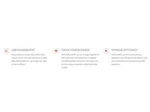 birlamedisoft features