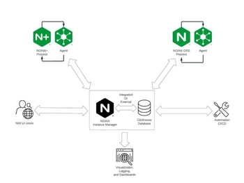 NGINX Instance Manger