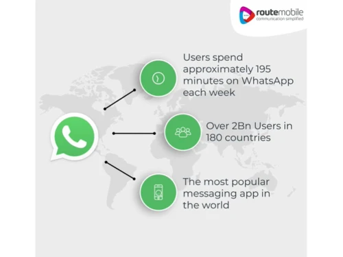 route mobile whatsapp business users