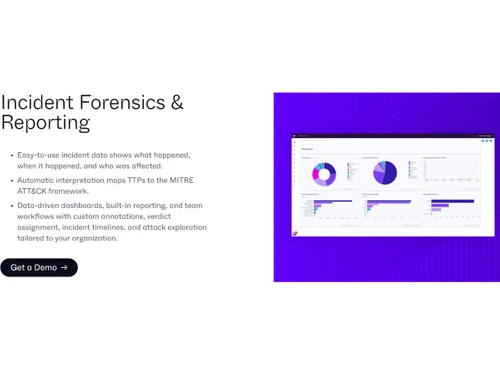 singularity core reporting