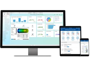 cogniscient sap business one