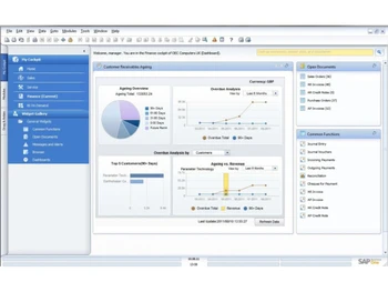 cogniscient sap business one analysis