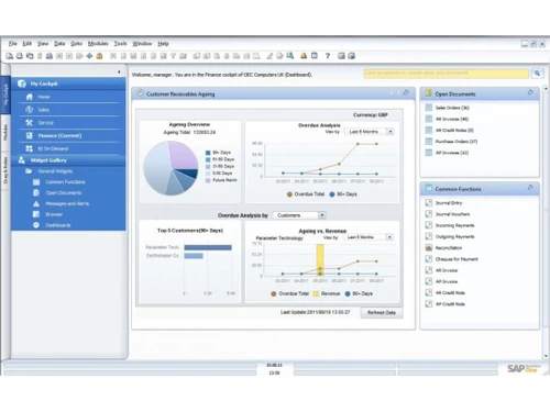 cogniscient sap business one analysis