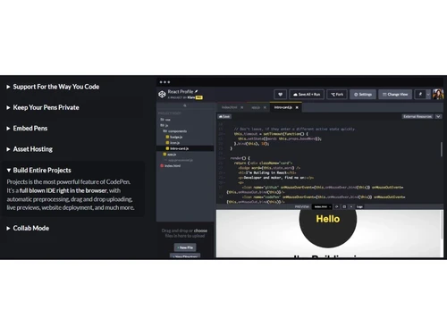 CodePen-Build Entire Projects