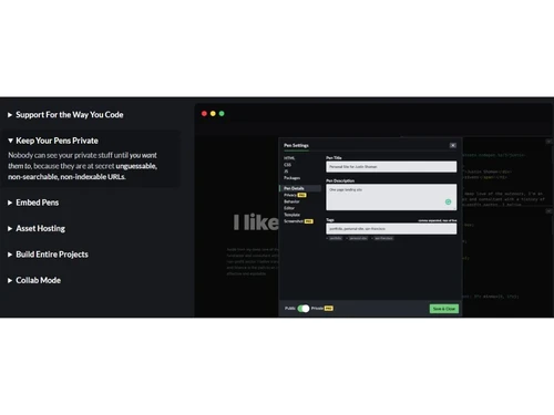 CodePen-Keep Pen Private