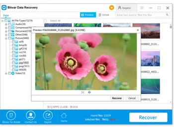 bitwarsoft data recovery type