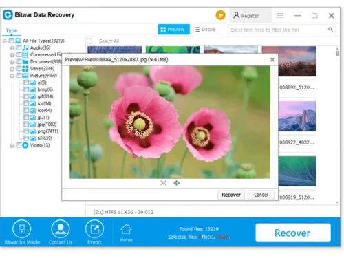 bitwarsoft data recovery type