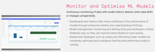 seldon monitor and optimise