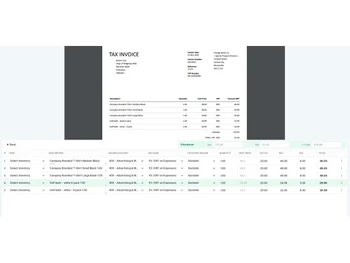 datamolino invoice