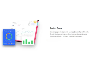 Livine Broiler Farm