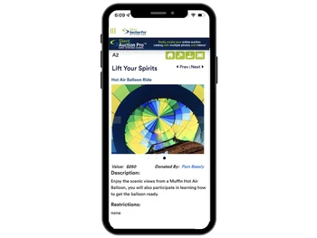 silent auction pro A2