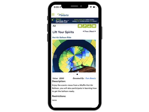 silent auction pro A2