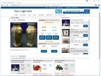 my auction software bidding