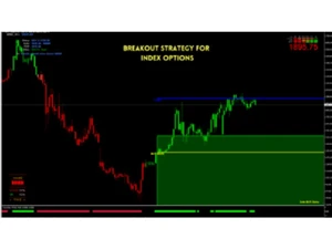 Software Interface - X-STOX