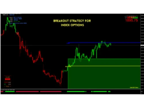 Software Interface - X-STOX