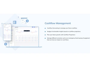 business finance manager cashflow management