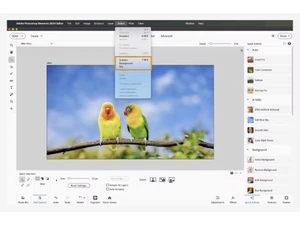 adobe photoshop elements