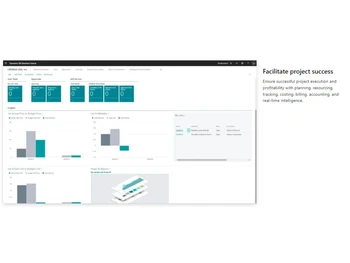 Dynamics 365 Business Central-Facilitate project success