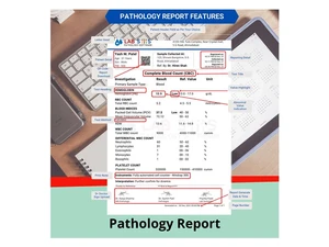 Drlogy Pathology Lab Software Pricing & Reviews 2025 | Techjockey.com