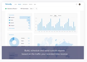 rebrandly custmized analytics