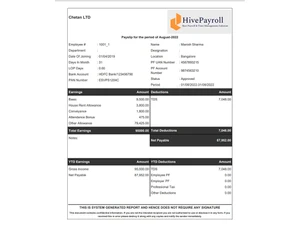 hivepayroll payslip