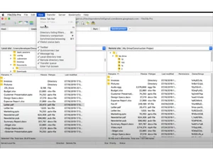 filezilla pro view
