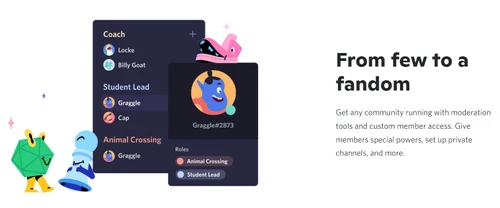 discord member access