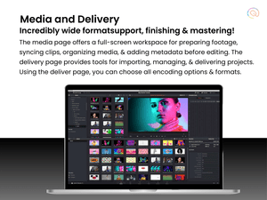 davinci resolve media and delivery