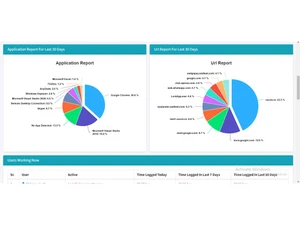 work hour monitor application report