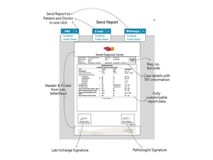 labsmart send report