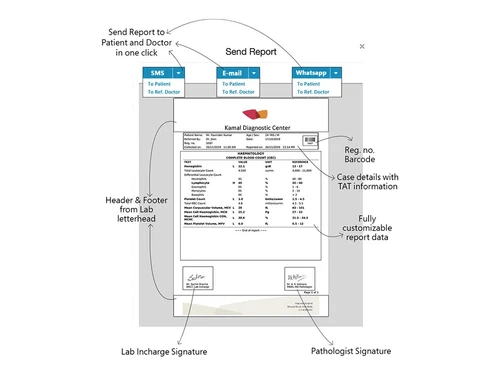 labsmart send report