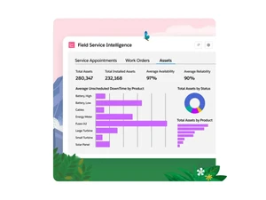 salesforce field service assest