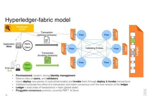 hyperledger-model