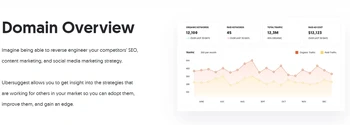 ubersuggest domain overview