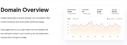 ubersuggest domain overview