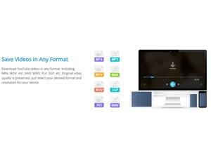 clipdown save video in any format
